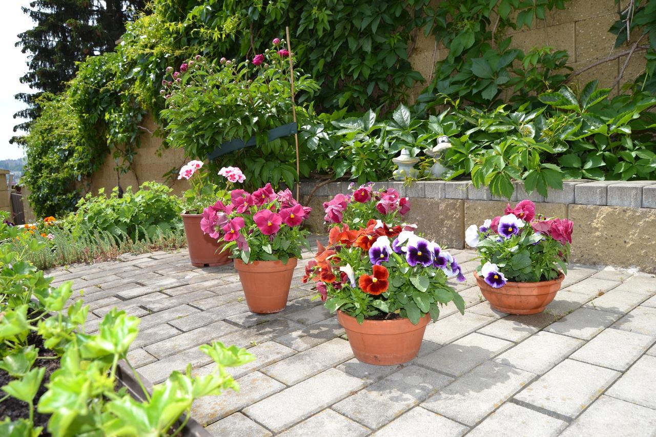 Pension Nika Прага Экстерьер фото